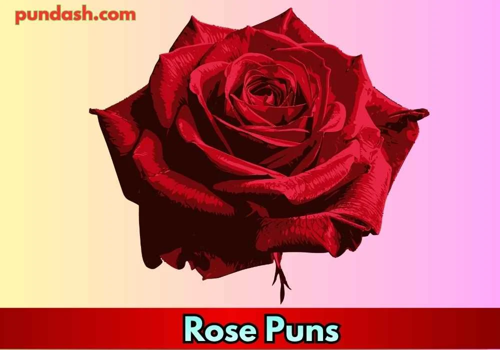 Funny Rose One-Liners