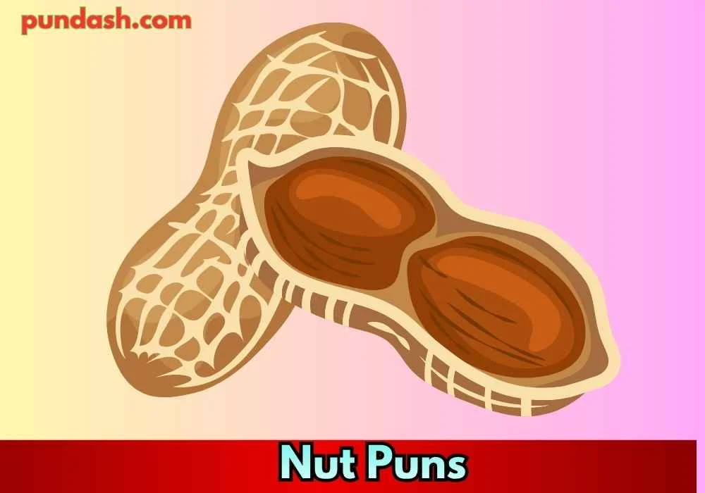 Short Nut Jokes for Quick Laughs