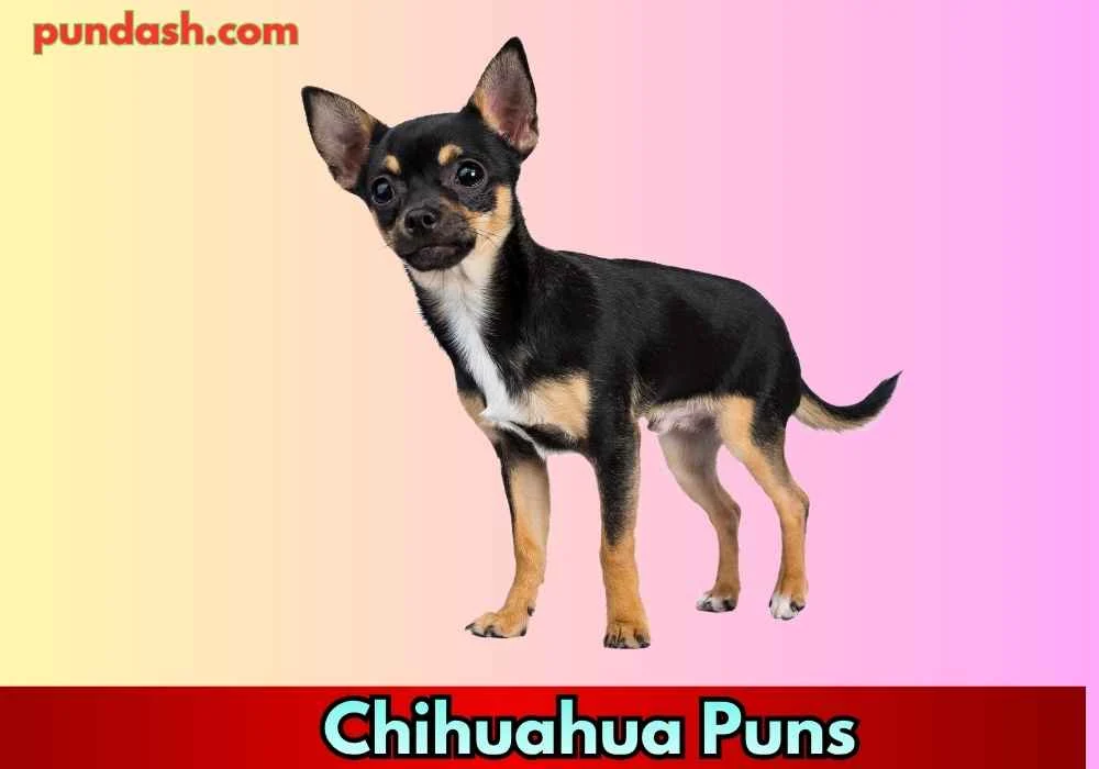 Tiny but Mighty Puns