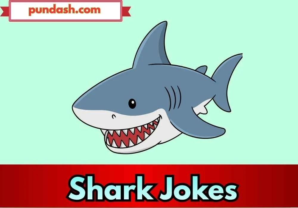 Shark Jokes