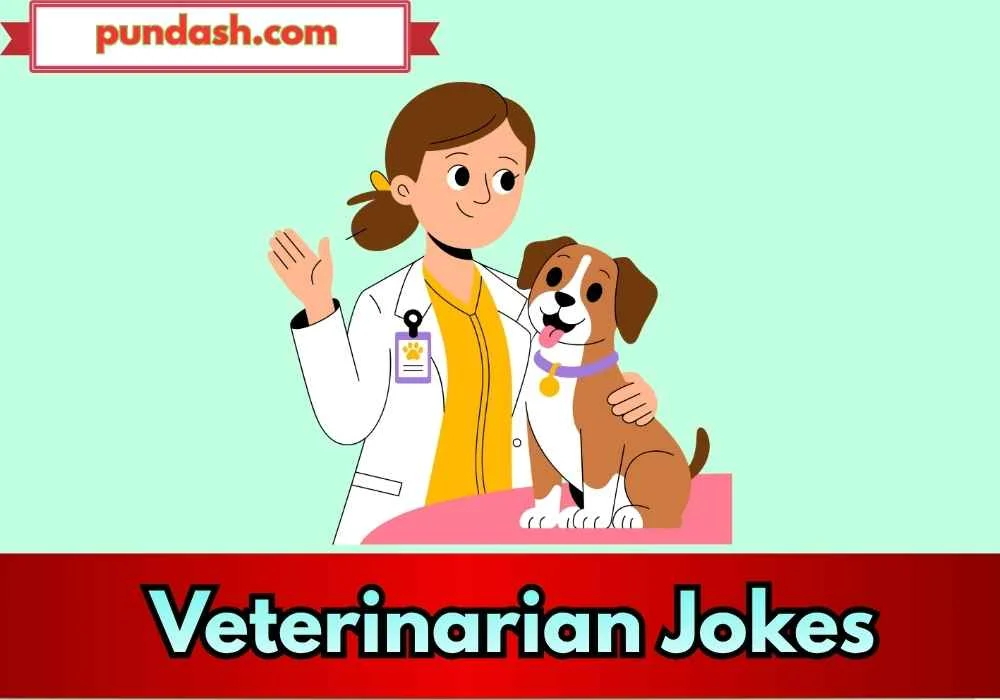 Veterinarian Jokes