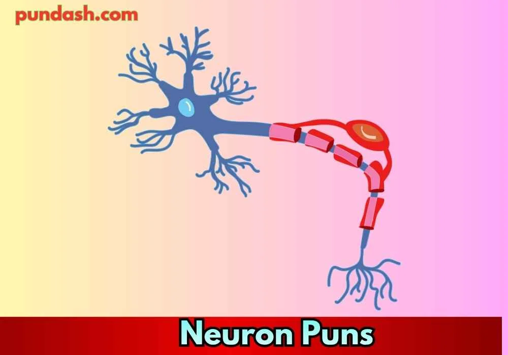 Axon Amusements