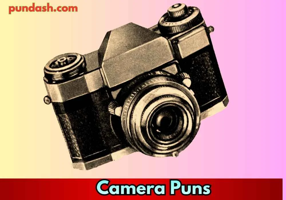 Developing Laughs: Film & Roll Puns