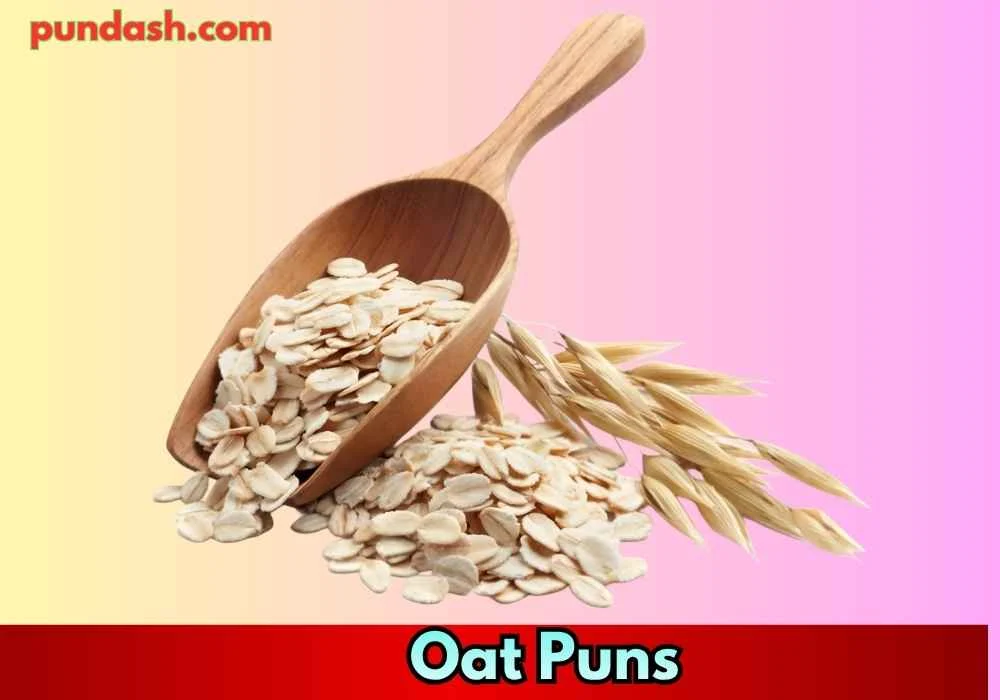 Funny Oat Puns