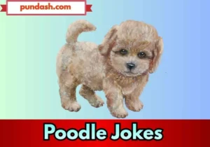 Poodle Jokes