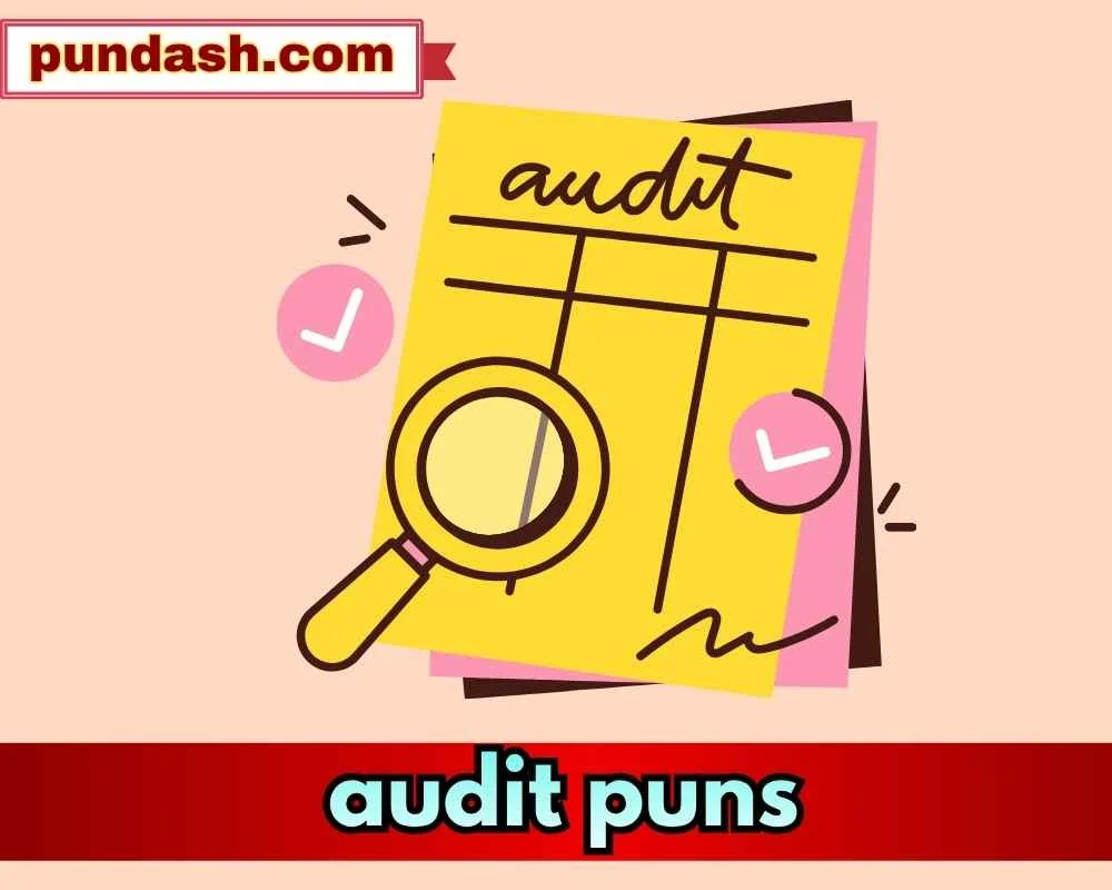 audit puns
