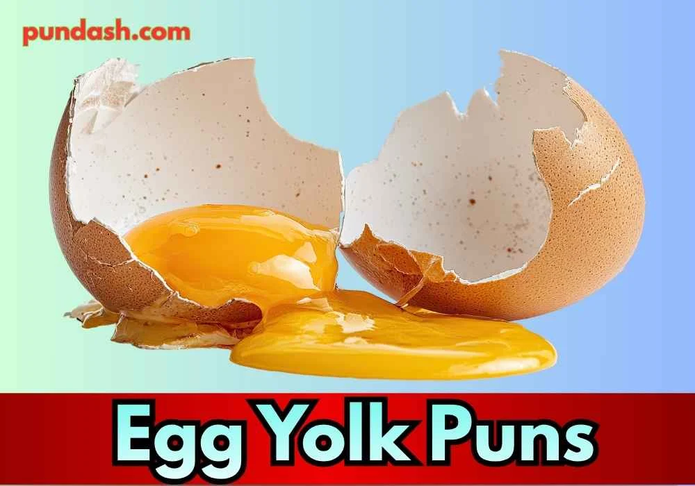 Egg Yolk Puns