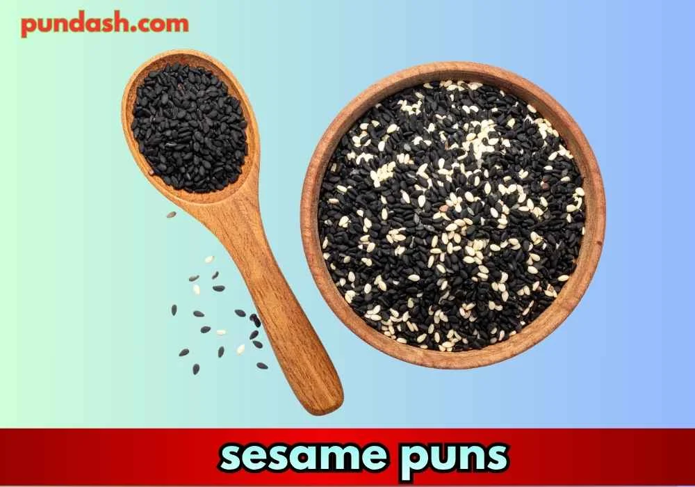 sesame puns
