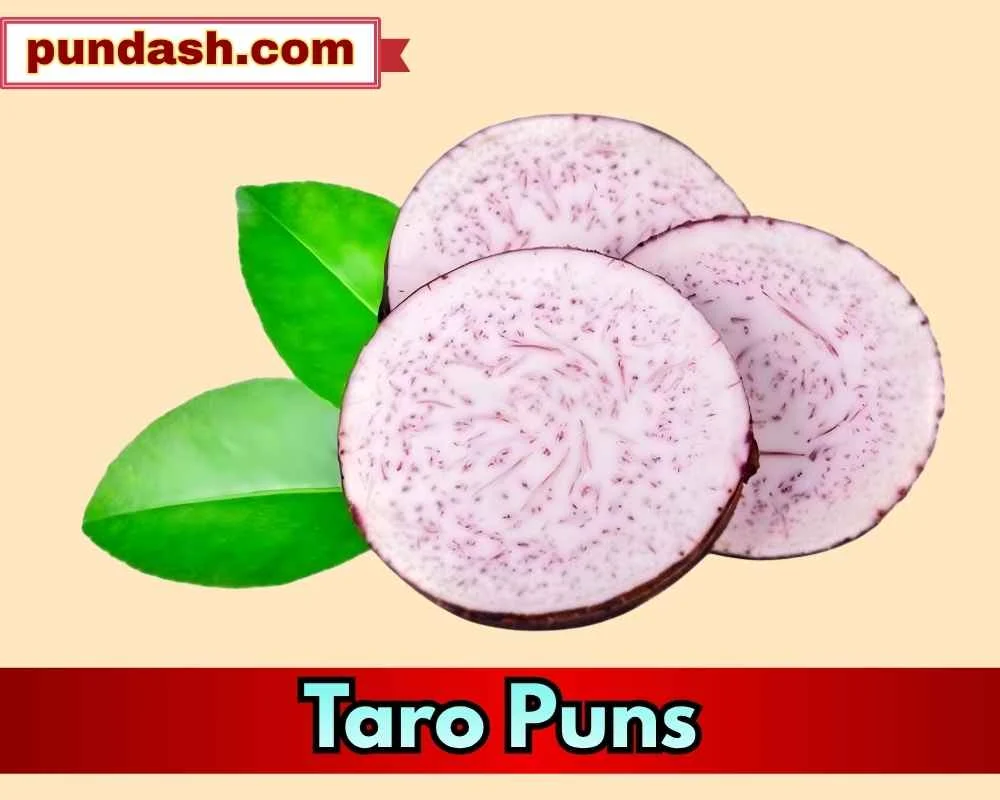 Taro Puns