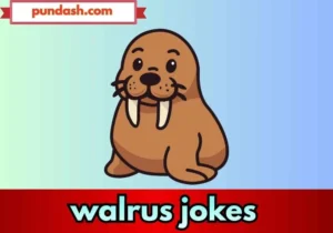 walrus jokes