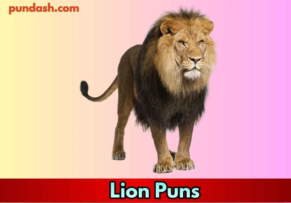 Lion Puns