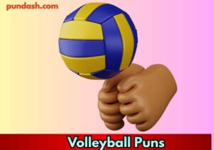 Volleyball Puns